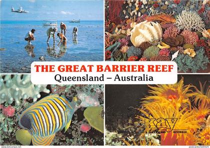 B90016 the great barrier reef queensland  australia