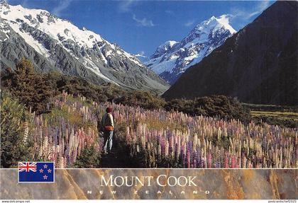 BG9428 mount cook new zealand landscape