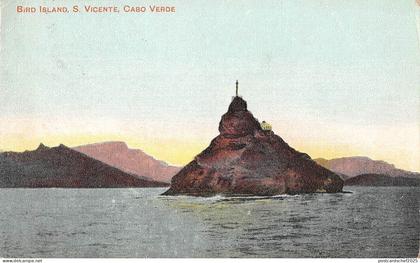 BR100204 bird island s vicente cabo verde Cape Verde  africa