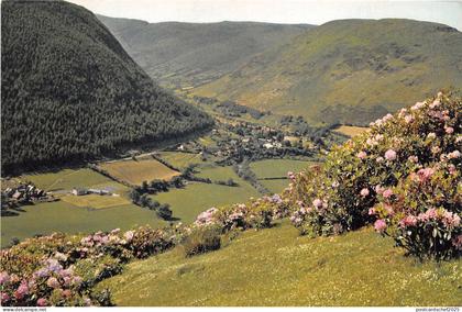 br108942 pass at dinas mawddy merionethshire wales uk