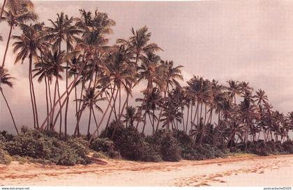 BR28007 Tanzanie tanzania