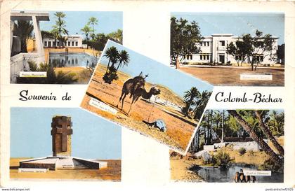 BR28338 Colomb Bechar algeria