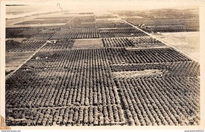 BR39218 Columbia river usa