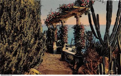 BR39623 monaco jardin Exotique monaco
