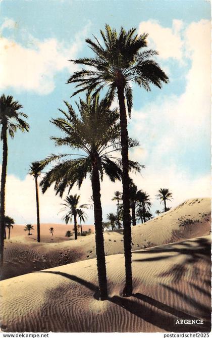 BR40419 Colomb Bechar les dunes    Algeria