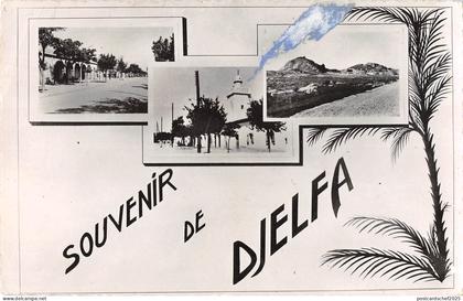 BR49626 Djelfa     Algeria