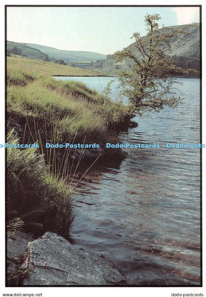D084356 40. Tuag at Graig Goch. Cwm Elan towards Craig Goch. Elan Valley. Liz Fl