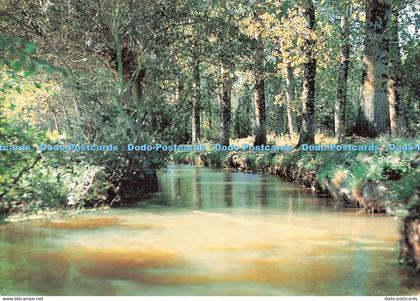 D116493 Venise Vendeenne. Maillezais. Vendee. Fosse de la Chapelle. Combier Maco