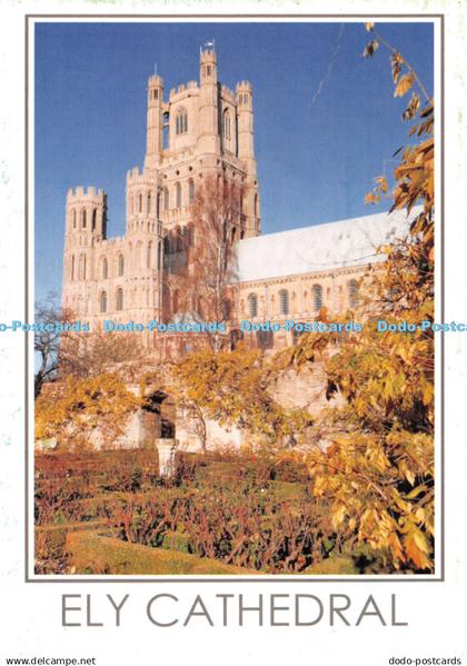 D126083 Ely Cathedral