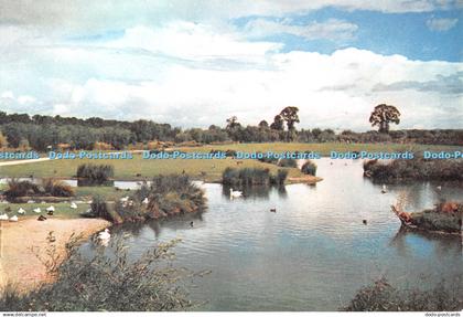 D134554 Wildfowl Trust Slimbridge Gloucestershire Dixon