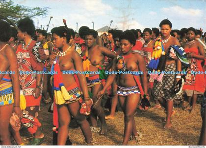 D139027 Swaziland Southern Africa Art Publishers Mally Johnson
