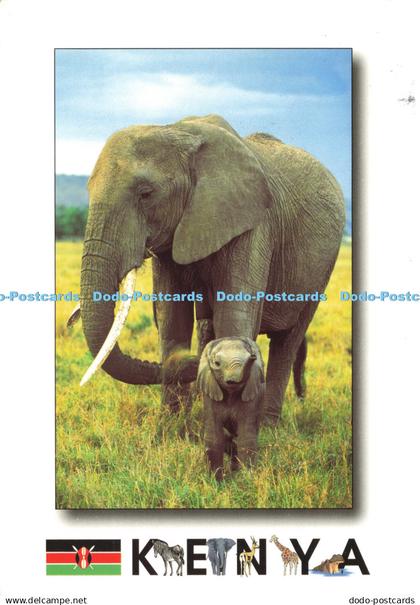 D192324 Kenya African Wildlife Elephant Mount Kenya Sundries Limited Jonathan an