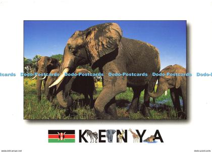 D201664 Kenya African Wildlife Elephant Mount Kenya Sundries Jonathan and Angie