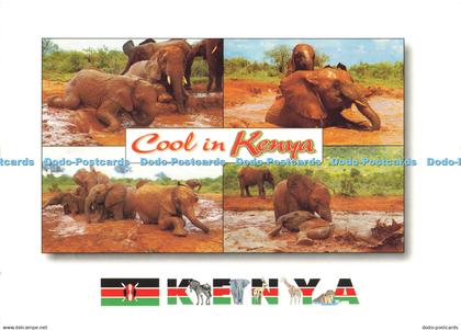 D201666 Kenya Cool in Kenya African Wildlife Mount Kenya Sundries M Schaible Mul