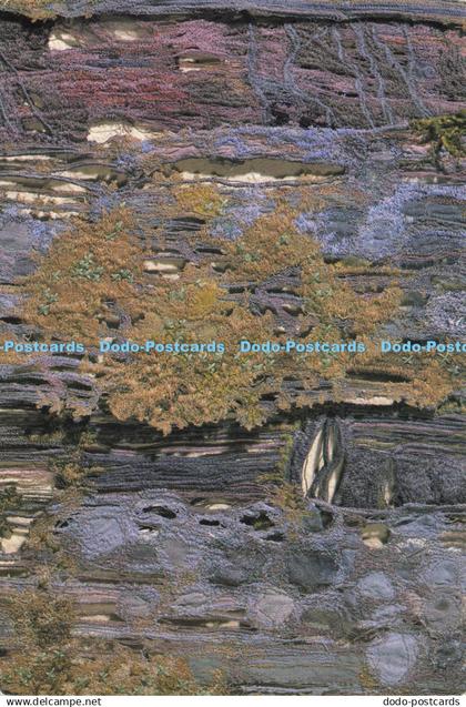 D214732 Detail from Panel Cliffside Little Island Madeira Threads Burgh Island S