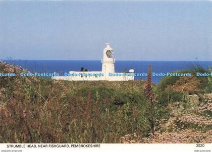 D221335 Pembrokeshire Strumble Head near Fishguard Pembrokeshire Eye
