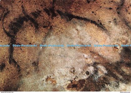 D224445 Les Eyzies Grotte de Font de Gaume Modernes Theojac