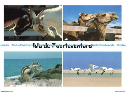 D242299 Isla de Fuerteventura Art Edition Multi View