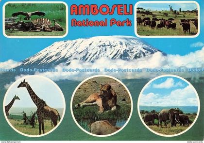 D242956 Amboseli National Park Kenya Kenya Stationers Dino Sassi Multi View