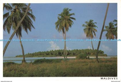 D246033 Maldives United Production Naseem