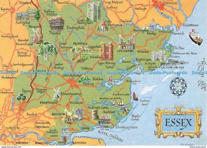 D253201 Essex J Salmon