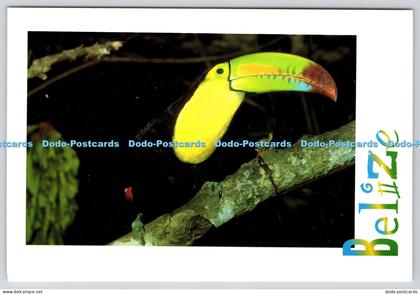 L346658 Belize Our National Bird A Keel Billed Toucan Always Dresses Its Best Cu
