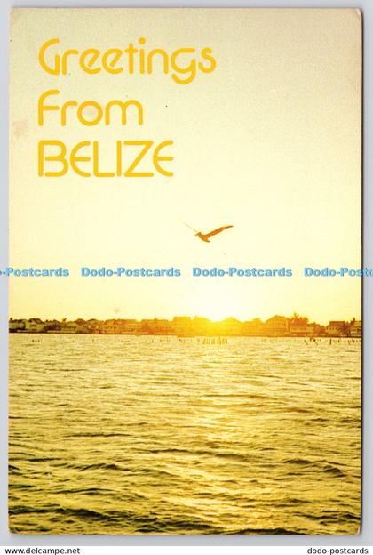 L354872 Greetings from Belize Golden Sunset at the Mouth of the Haulover Creek C