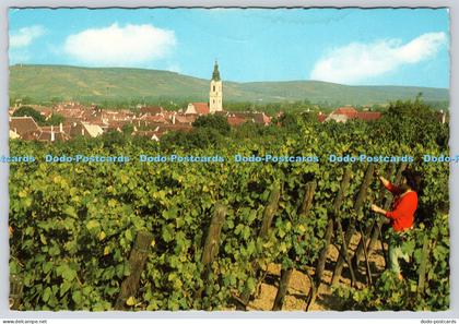 L357876 Langenlois N Q die Weinstadt KWM Helmut Partaj