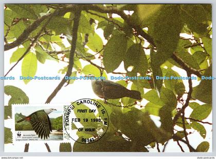 L366181 Die Mikronesien Fruchttaube W W F Official Maximum Card
