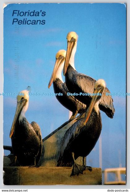L366306 Florida Pelicans Southern Card and Novelty Rindy Nyberg PM Orlando FL 19