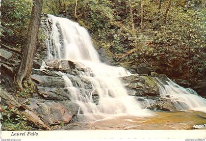Lot100  usa laurel falls great smoky mountains national park Tennessee