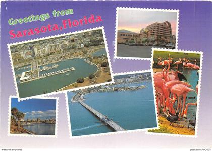 Lot99  usa greetings from sarasota florida flamingo