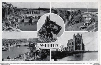 PC01254 Whitby. Multi view