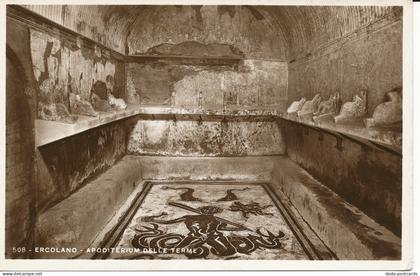 PC39204 Ercolano. Apoditerium delle Terme. V. Carcavallo. RP