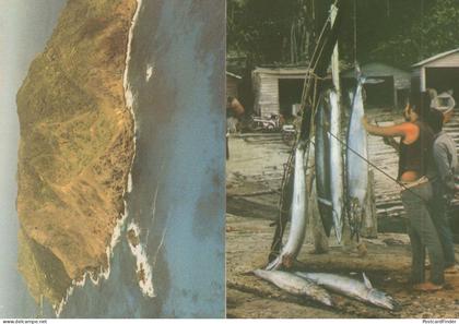 Pitcairn Island Fishing Hanging Fish To Eat Diet Fisherman 2x Postcard