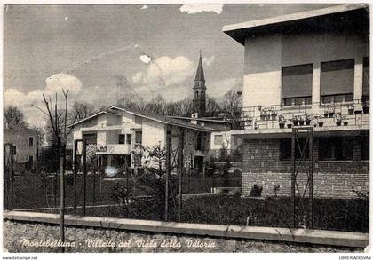 Postal Italia. Montebelluna. Villette del Viale della Vittoria