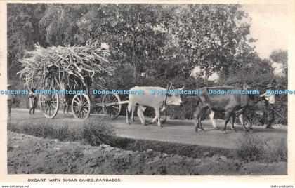 R266717 Oxcart With Sugar Canes Barbados Printed By Bruce Weatherhead Barbados P