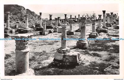 R330037 Carthage Basilique de Saint Cyprien C A P RP