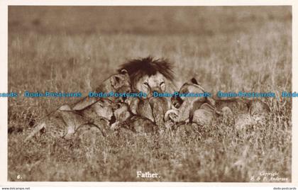 R631782 Father. F. and P. Anderson