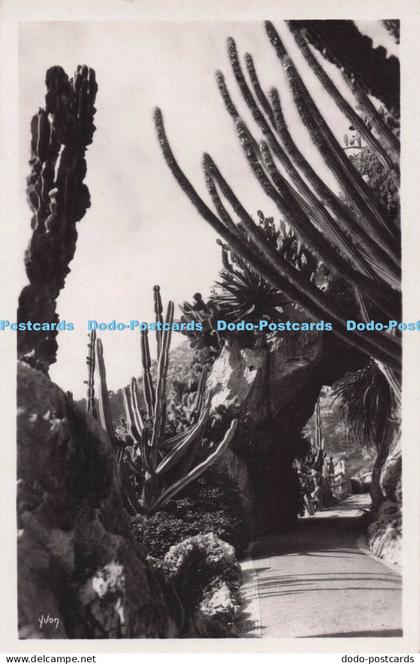 R697094 Monaco. Le Jardin Exotique. Yvon