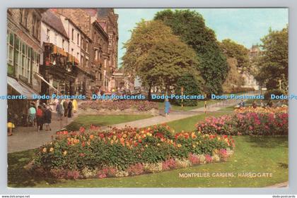 R786507 Harrogate Montpelier Gardens J Salmon Sevenoaks