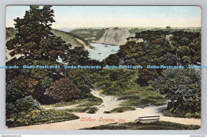 R805181 Clifton Downs. Postcard