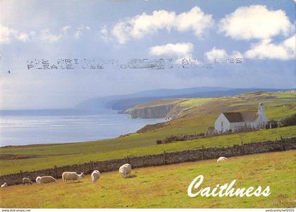 uk36798 caithness scotland  uk lot 8 uk