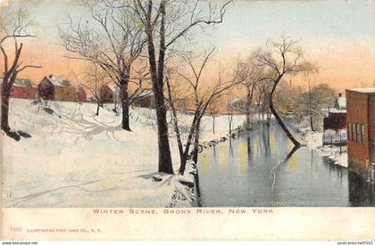 US6069 winter scene bronx river new york litho   usa