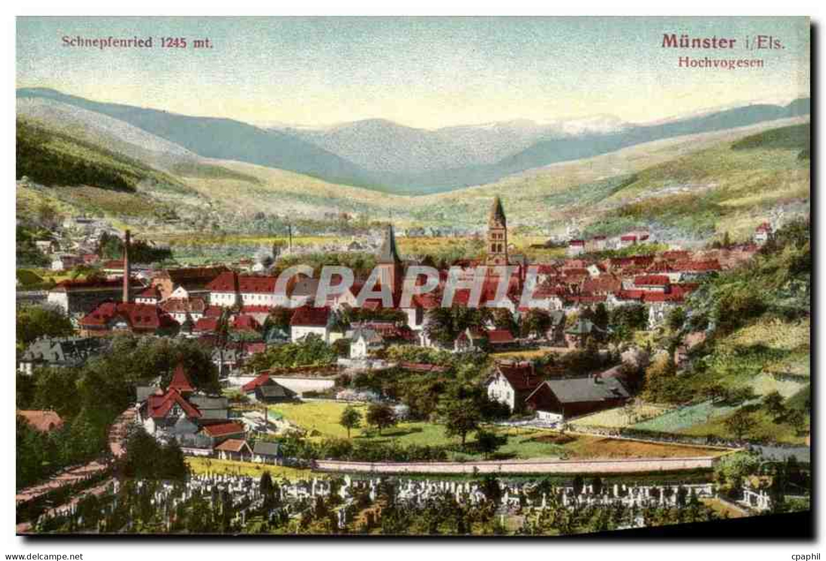 Munster CPA Hochvogesen Schnepfenreid