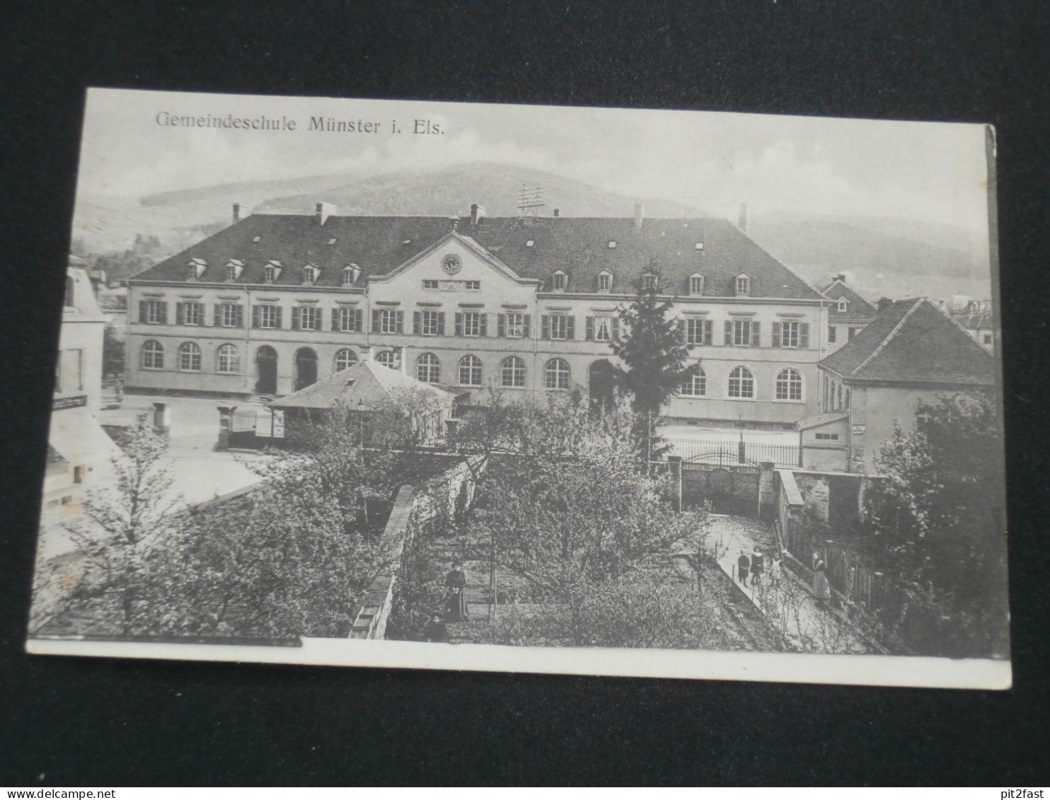 Münster / Munster i. Elsass - Gemeindeschule , 1915 , Ansichtskarte , AK , CPA !!