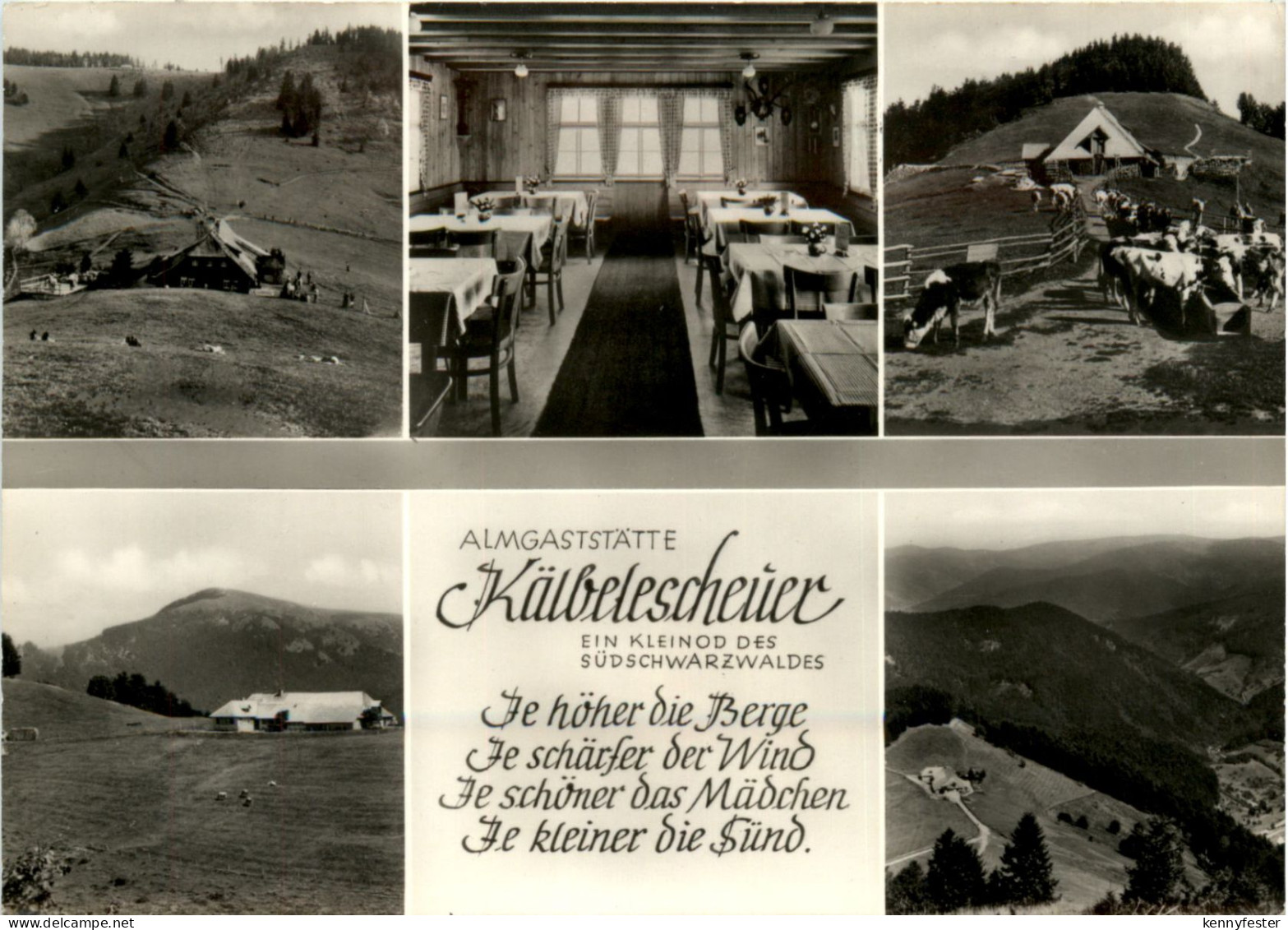 Münstertal - Almgaststätte Kälbelescheuer