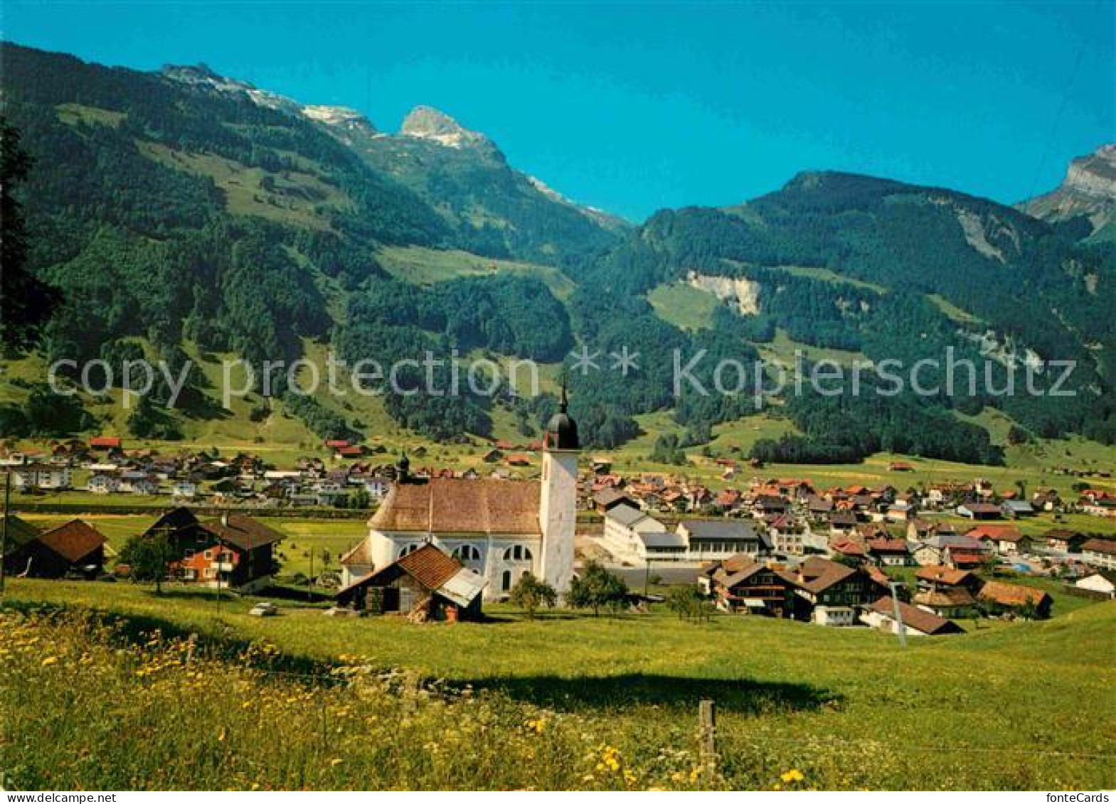 Muotathal Achselberg Schwarzstock Planstock