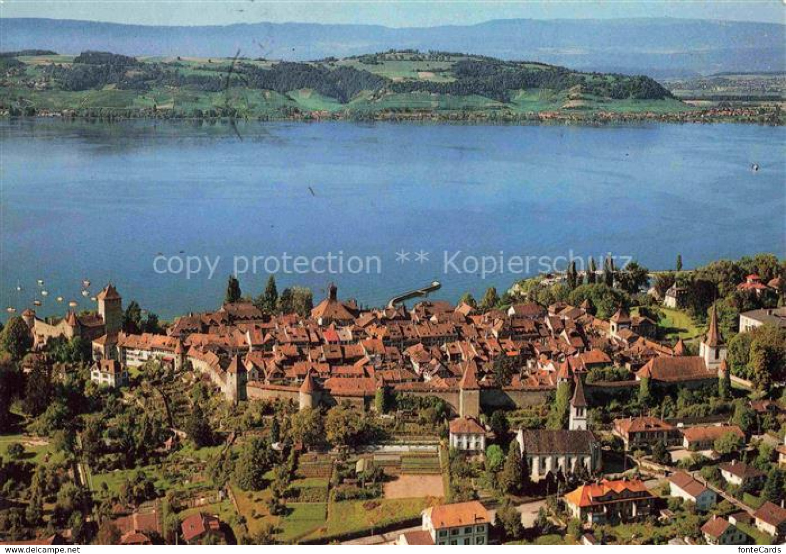 Murten Morat FR Panorama Murtensee