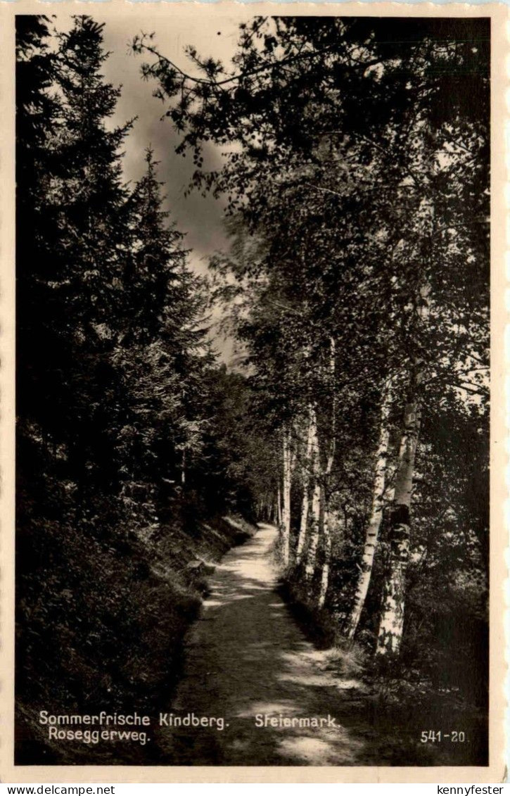 Mürzzuschlag/Steiermark - Sommerfrische Kindberg - Roseggerweg